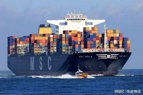 塑膠粒出口流程與貨運指南